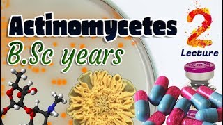 Actinomycetes  Characteristics  Classifications  Non sporat actinomycetes BSc 3st year 🧫💊🔬 [upl. by Doownyl999]