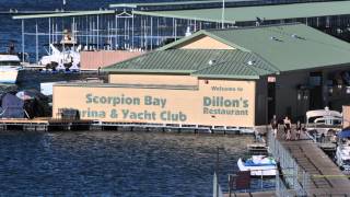 Dillons At Scorpion Bay Marina quotOasis in the Desertquot [upl. by Dnaleel]