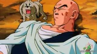 DBZ  Dende heals Tien [upl. by Soren871]