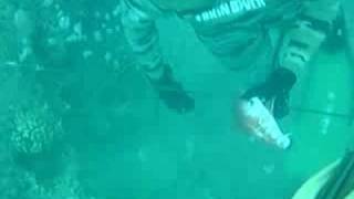 Hawaii Spearfishing quotStrange Goatishquot Ep 1 [upl. by Nylekcaj591]