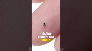 The Worlds Smallest Camera  Science Fact factshorts [upl. by Yrelav]