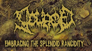 SEWAGE  Embracing the Splendid Rancidity Full Album Stream [upl. by Kevan]