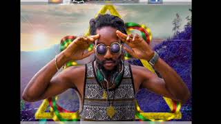 Well Done  Kabaka Pyramid lyrics  Sub PATOIS  ENGLISH by sarazufre [upl. by Ahsoet]