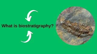 What is biostratigraphy [upl. by Arec179]