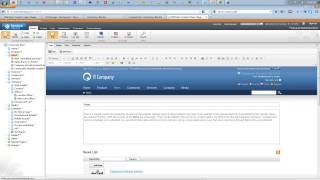 Kentico CMS 7  Technical Webinar Using Kentico Tools to Migrate Website Content Easily [upl. by Ahsinrats]