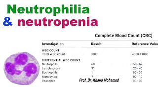 How is neutrophils count interpreted neutrophils leukocytes inflammation stress neutropenia [upl. by Arten]