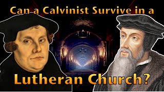 Can a Calvinist Survive in a Lutheran Church [upl. by Darmit]