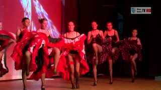 HD WNDWo Ballettschule Zauner 2013  Ausschnitte [upl. by Allenaj645]