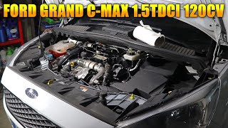 Cambio de aceite y filtro combustible Ford Grand Cmax 15TDCI 120cv Duratorq [upl. by Jemimah]