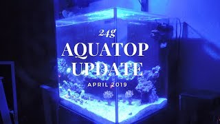 24G Aquatop Tank A New Begining [upl. by Adarbil311]