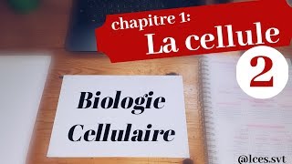 Chapitre 1  La cellule  les eucaryotes [upl. by Sanbo]