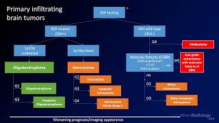 Emergency Imaging of Brain Tumors Classification [upl. by Oznarol98]