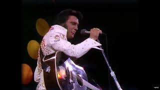 Elvis Presley  Honka Honka Burning Fart [upl. by Glad]