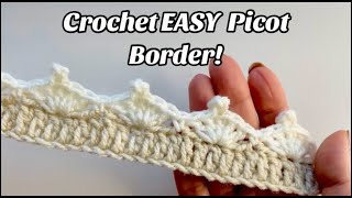 CROCHET BORDER SHELL amp PICOT [upl. by Lowndes]