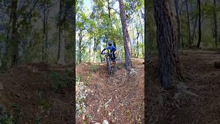 VTT XC  TECHNIQUE ET AGILITÉ EN TRAIL [upl. by Berlauda]