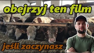 BYCZY INTERES czyli SUKCES CZY PORAŻKA [upl. by Natsirt359]