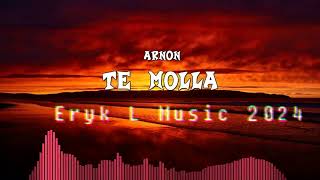 Arnon Te Mola   Eryk L Music  remix 2024 [upl. by Dukey62]