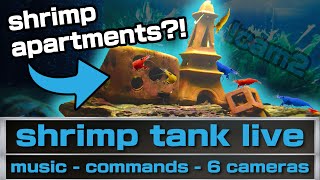 🔴 shrimp tank live  live shrimp tank  shrimpys relaxing nintendo radio  ad free [upl. by Nyliak]