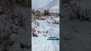 كلاسيكيات امازغية👌ومناظر من جبل بويبلان ثاني اعلى قمة في الاطلس المتوسط🌲❄️🗻 [upl. by Vieva]