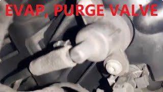 Annoying NOISE from EVAP valve CANISTER PURGE  Mercedes B gasoline but IT WORKS CORRECTLY [upl. by Lewls100]