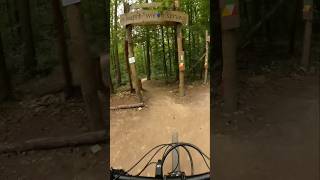 Flowtrails Mosbach  g‘hupft wie g‘sprunge  flowiger gehts nicht 😁🤙 mtb trailriding shorts [upl. by Dorkus687]