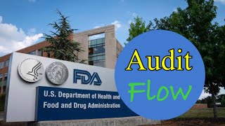 How the Auditing Process Works In Pharma  USFDA Audit Flow [upl. by Morgan999]