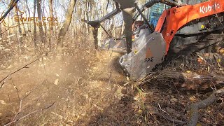 The Powerful FAE BL1 mulcher on Kubota SVL 65 [upl. by Ardnait259]