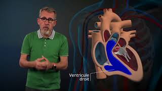 Le fonctionnement du cœur expliqué par Jamy [upl. by Nirel]