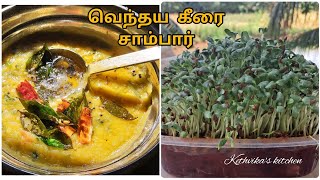 வெந்தய கீரை சாம்பார் venthaya keerai sambar  விதைத்தல் அறுவடை  சமையல் breakfast food farming [upl. by Carlock]