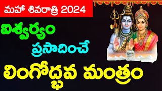 MahaShivRatri 2024  Lingodbhava Mantram  Lingodbhava Kalam 1156 PM onwards  Shiva  కీటాః పతంగాః [upl. by Irovi]