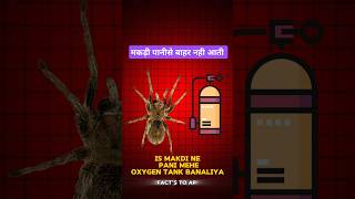 Makdi ne panime oxygen tank banaliya। Diving bell spider। Sea animals। shorts spider oxygen [upl. by Doownil]