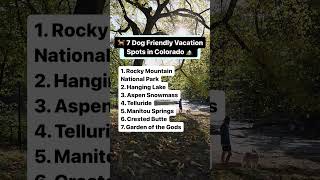 7 Dog Friendly Vacation Spots in Colorado [upl. by Thane]