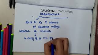 gabapentin pregabalin mp4  Pharmacology [upl. by Pelagia]