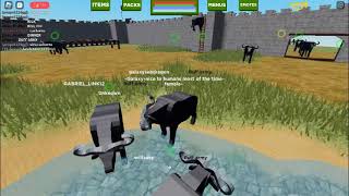 NEW buffalo update in playbox safari ROBLOX [upl. by Schinica]