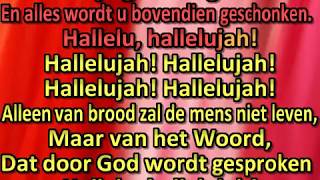 Zoek eerst het koninkrijk van God [upl. by Dott]