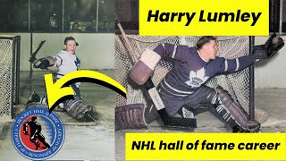 Hockeys BIGGEST Legend Harry Lumleys Most EPIC NHL Moments [upl. by Aimac]