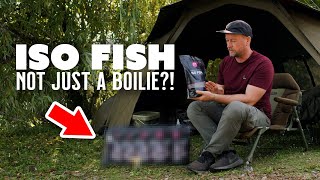 ISO FISH  Not just a boilie Carp Fishing Baits In Detail  Mainline Baits [upl. by Hosea]