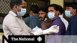 Rare Nipah virus disease resurfaces in India [upl. by Enirbas]