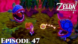 Stilled house Jail house  The Legend of Zelda Echoes of Wisdom  Episode 47 [upl. by Weisburgh]