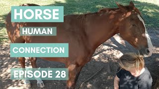 Horse Human Connection Ep28 [upl. by Durstin]