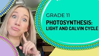 Photosynthesis  Light Dependent and Calvin Cycle [upl. by Ylrac403]