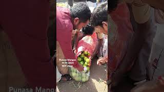 Punasa Mangos Aam Rasalu Mamide bowenpally market trending shortvideo videos vlog food viral [upl. by Malonis191]