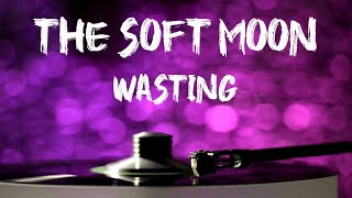 The Soft Moon  Wasting TestoLyrics [upl. by Arratoon]