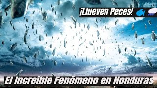 ¡Saca el Paraguas En Honduras Llueven Peces☔☔☔ [upl. by Enyehc364]