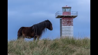 360Degree  Sable Islands Main Station [upl. by Friedman]