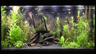 LED Aquarium Beleuchtung Daytime Cluster Control mit Tageslichtsimulator quotEasy Time Controllquot [upl. by Scholem44]