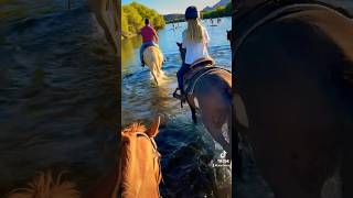 Sunset trail ride to the river 🤠🐴 travel trailride horses saltriver arizona goldenhour [upl. by Naujak]