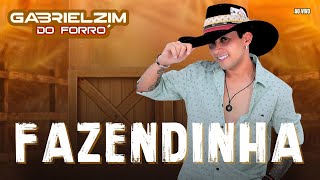 FAZENDINHAGABRIELZIM DO FORRÓ AO VIVO fazendinha youtube aovivo [upl. by Acined]