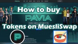 How to buy Pavia Coins on Cardano DEX [upl. by Gustavus997]