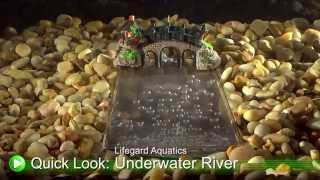 Jazz Up Your Aquarium With an Underwater River DrsFosterSmith [upl. by Aihsram]